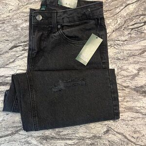 Wild Fable Men's Black Skinny Jeans